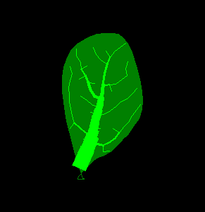 fat-leaf.png